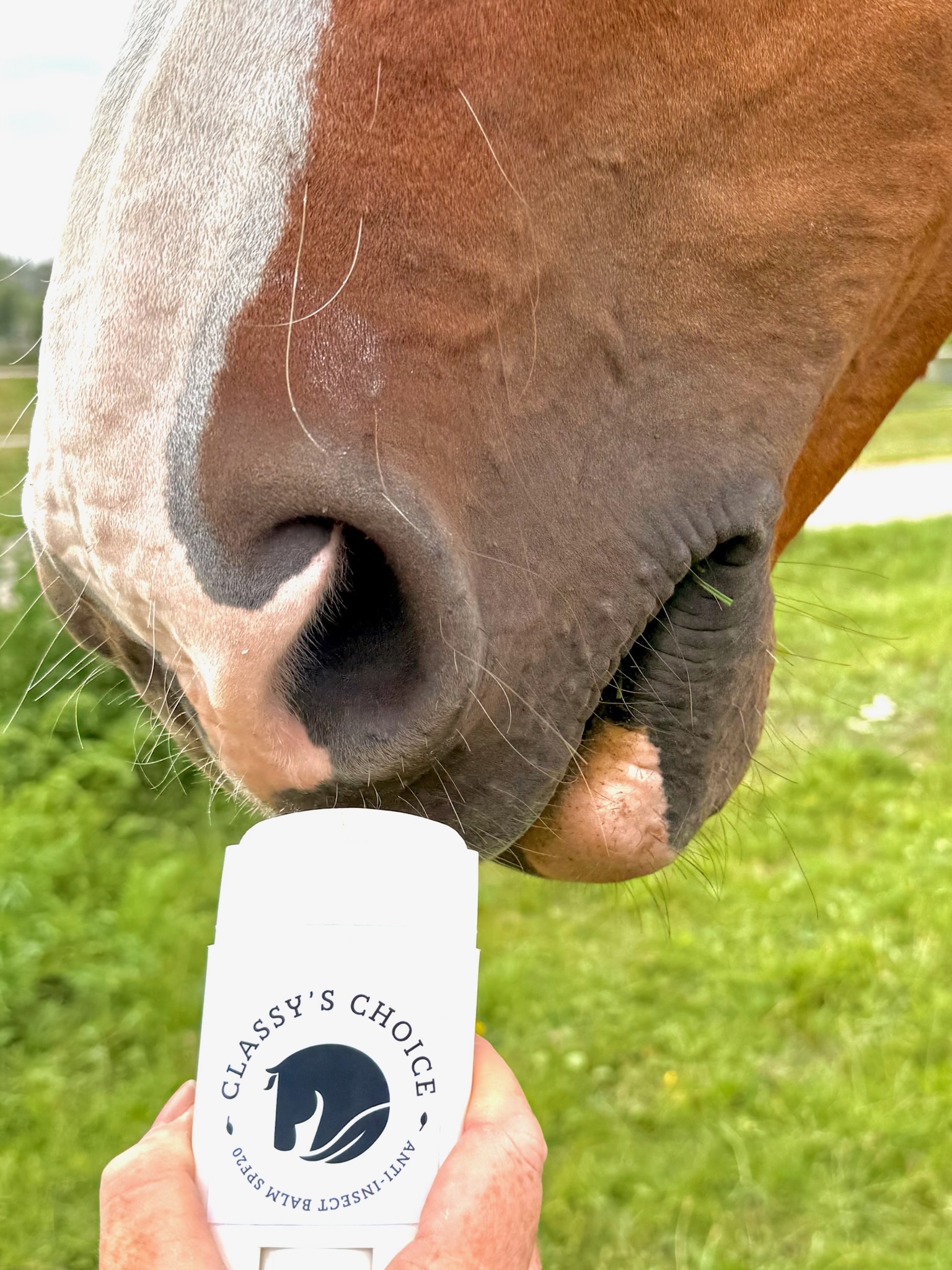 Anti insect vliegenspray paard